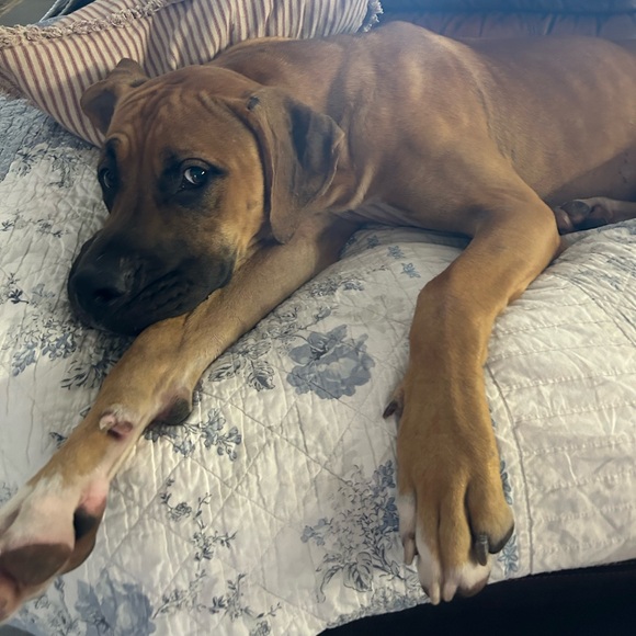 Meet your Posher, Denise - Picture 14 of 16